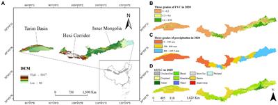 Increase in precipitation and fractional vegetation cover promote synergy of ecosystem services in China’s arid regions—Northern sand-stabilization belt